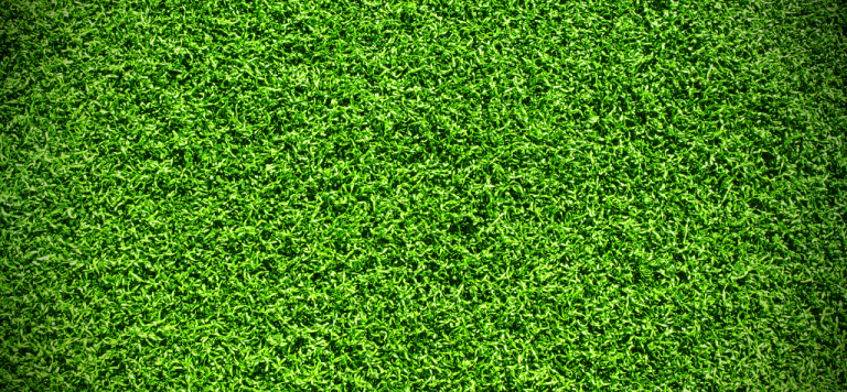 Synthetic grass installation in Melbourne backyard – low maintenance landscaping