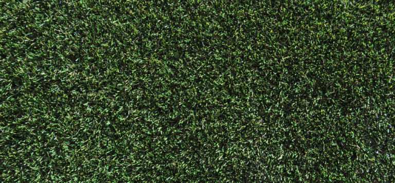 artificial grass installation tips backyard Melbourne