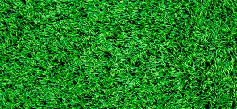 5 Creative Ideas for Your Artificial Grass Party