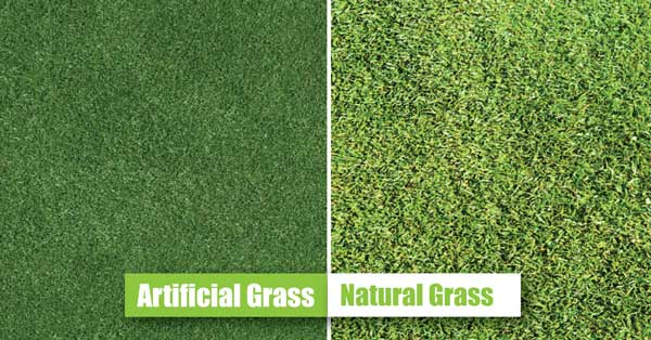 Artificial grass compared with natural grass costs
