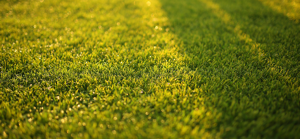 Artificial grass improving the appearance of a residential property