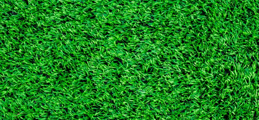 Backyard party area with artificial grass