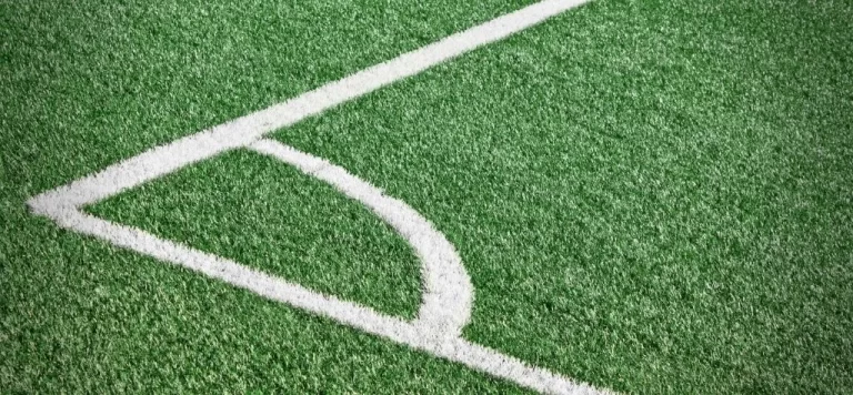 Top 5 reasons for installing artificial turf on the roof