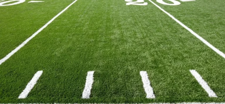 How astro turf make beautiful neighbourhood