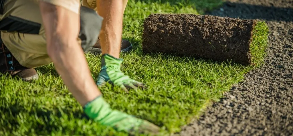 Benefits of artificial grass for residential lawns