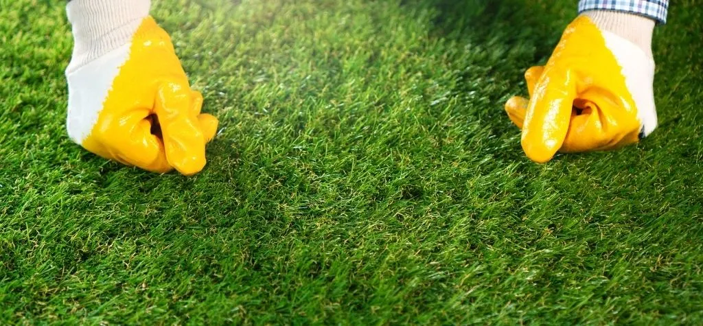 Modern synthetic grass compared with real grass
