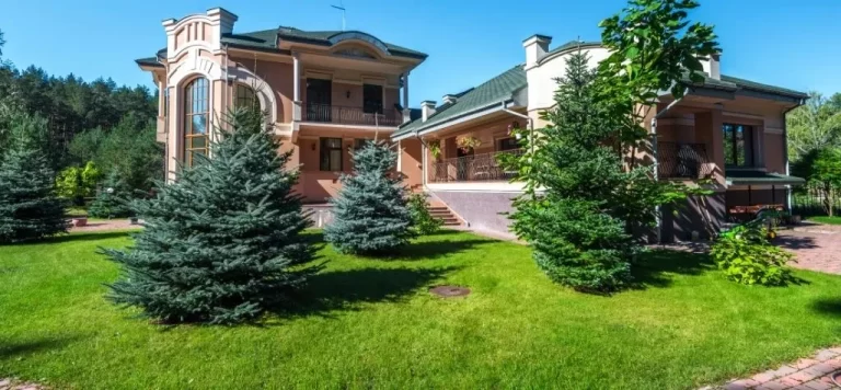How to clean artificial grass at home