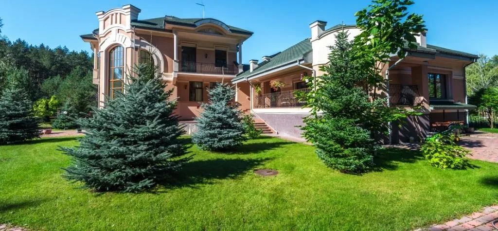 How to clean artificial grass at home