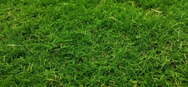 What height of artificial grass should I choose
