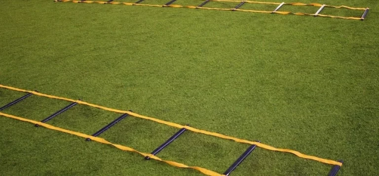 Is Synthetic Turf Better Than Natural Turf