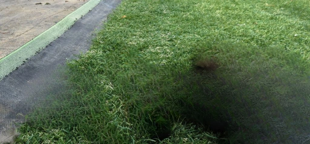 Artificial grass used effectively in a Melbourne outdoor area