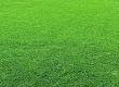 How Artificial Grass Contributes To Urban Sustainability Efforts and Initiatives