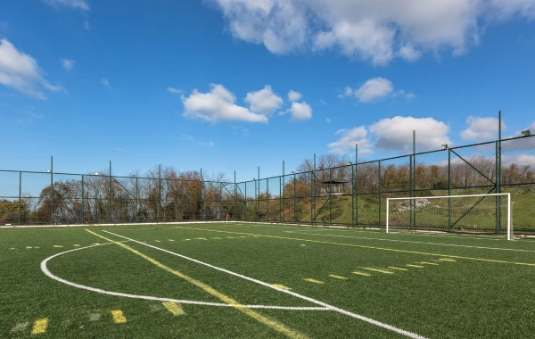 Sports Synthetic Turf Mebourne